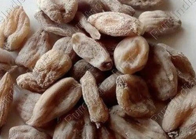salip saleb misree Salep Orchid powder 50g