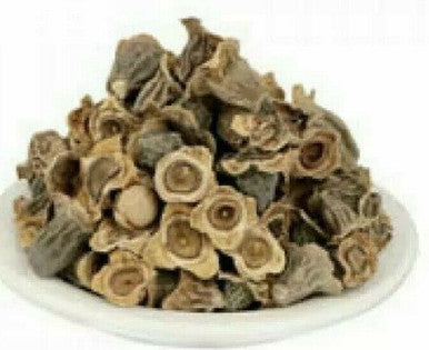 Va Kumbha BAY KHUMBA - BAIKHUMBA - BAIKUMBA - CAREYA ARBOREA 50gm