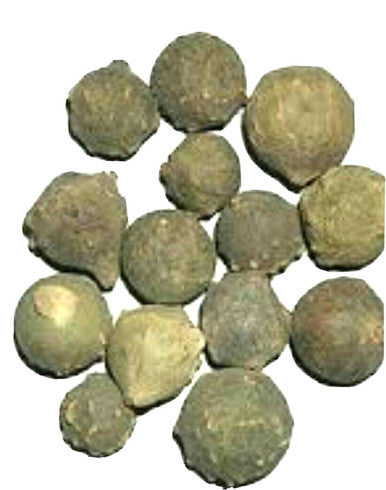 Majuphal oak gall majoophal manjakani - QUERCUS INFECTORIA 100gm