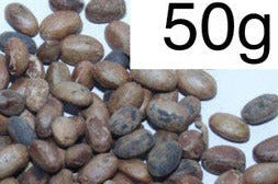 Jamalgota Jamal ghota Seeds Croton Seeds Croton tiglium Seeds - 50g