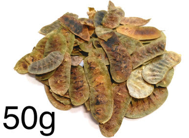 Organic Senna Pods, Dried Senna pods herbs SennaMakki Senokot 50g