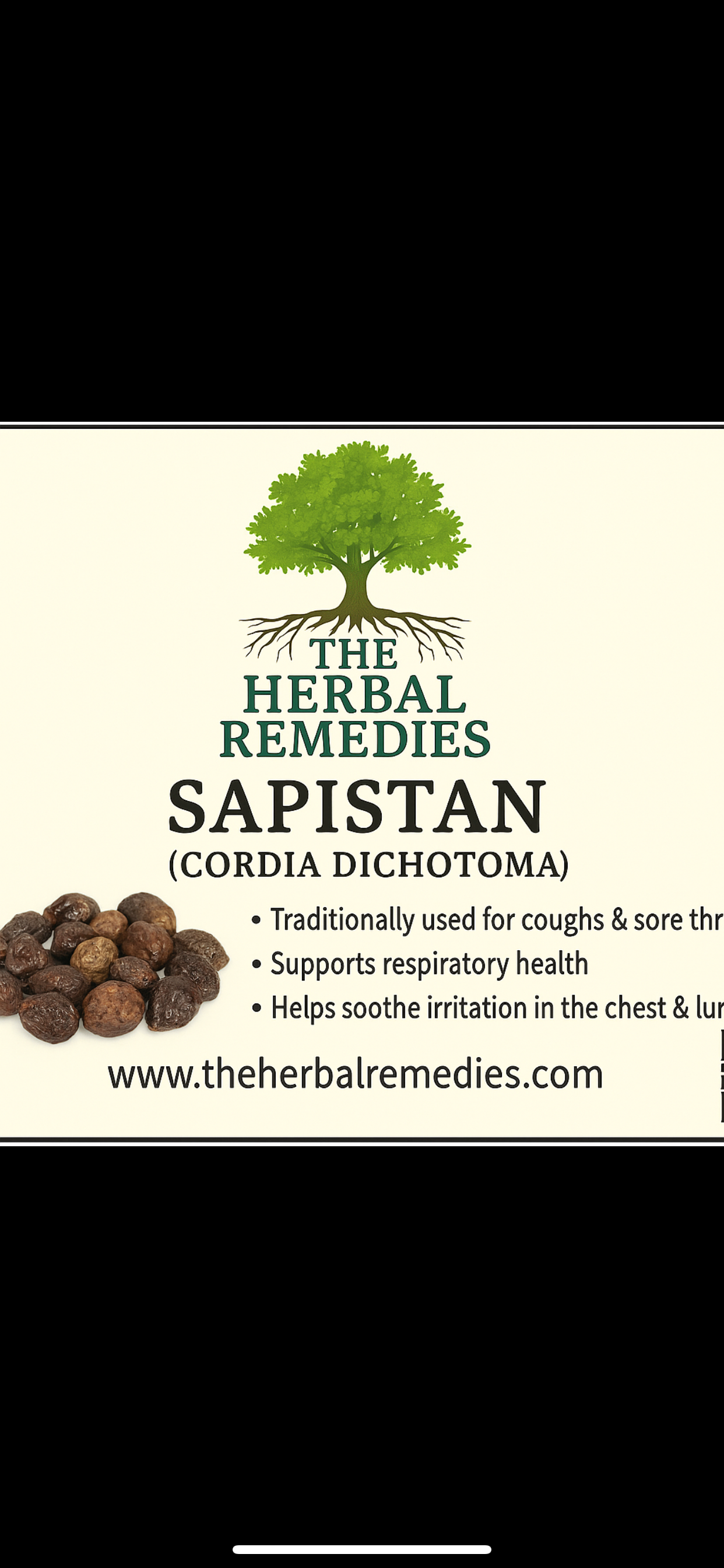 sapistan - Cordia dichotoma - 50g for Respiratory & Digestive Health