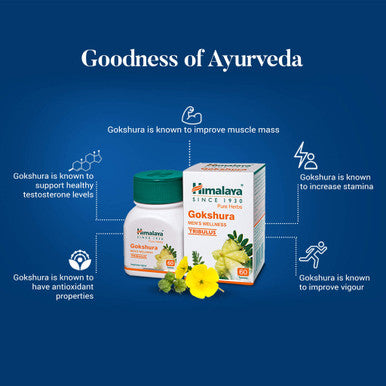 Gokshura Tribulus Terrestris tablets himalaya