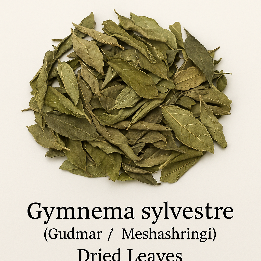 Dried Gymnema sylvestre leaves
