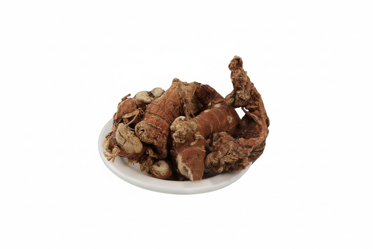 Organic Kulanjan (Alpinia galanga), Greater Galangal, Thai Ginger whole