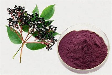 Elderberry Herbal Extract, Pure Powder 50 grams