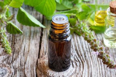 Organic Tulsi / holy basil Oil 30ml