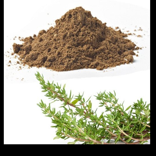 Thyme Extract (Thymus vulgaris) β Aromatic Digestive & Respiratory Support