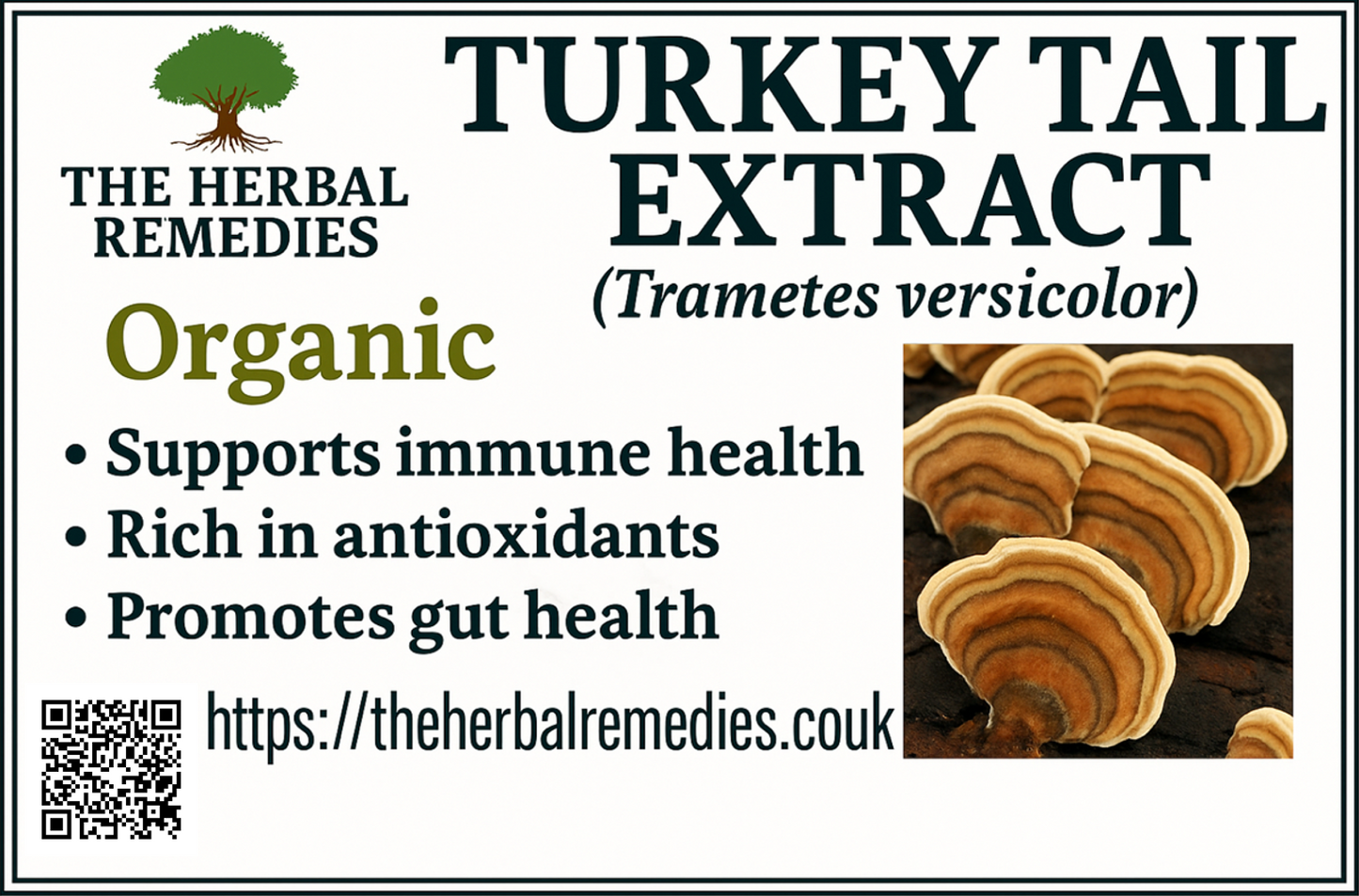 Turkey Tail Mushroom Extract