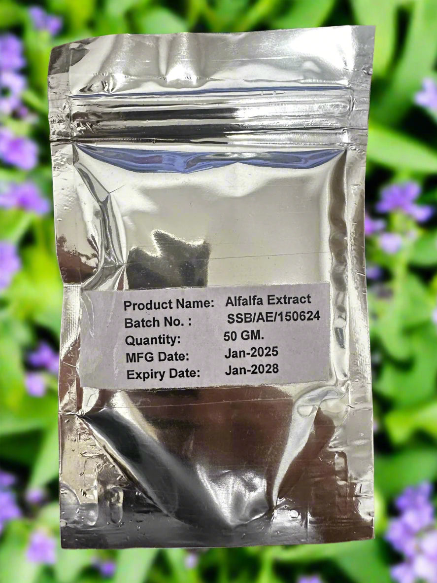 Alfalfa (Medicago sativa) Extract 50g powder chlorophyll, minerals, and saponins content