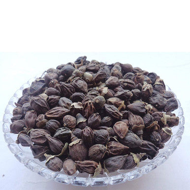 sapistan -  Cordia dichotoma -  50g for Respiratory  & Digestive Health