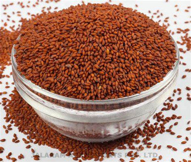 Asariya seeds Aariya Asaliya Seeds Aserio Seeds 100g