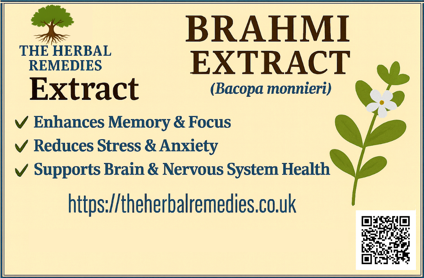 brahmi-extract-naturalcare53-uk.jpg