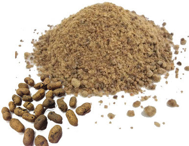 Jambu Black Plum currant Powder Natural Herbal 100gm