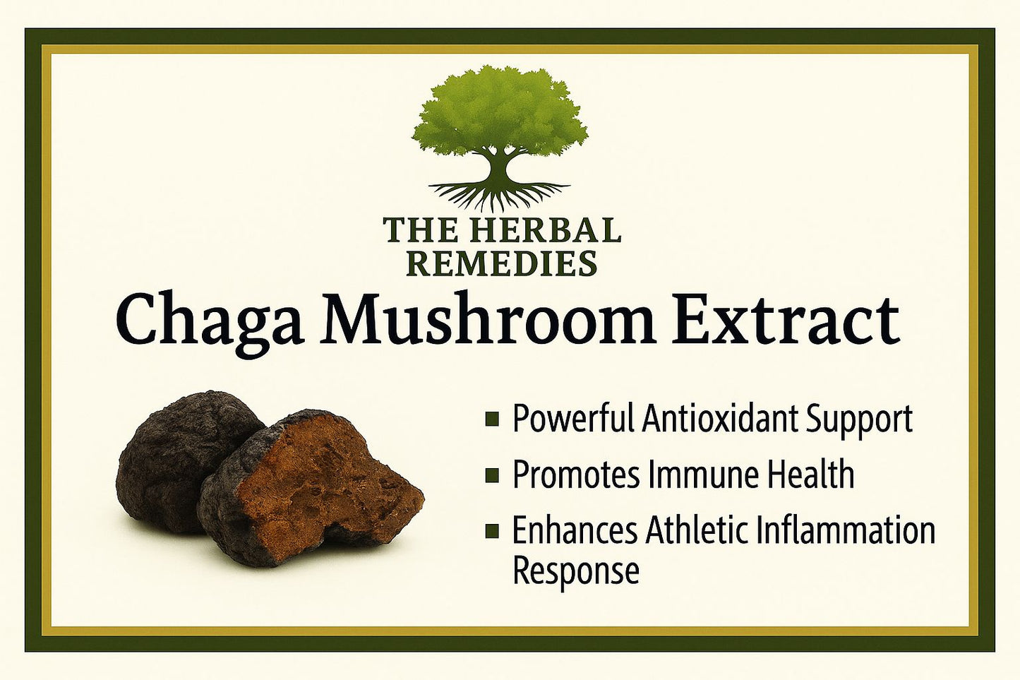 Chaga Mushroom Extract 30g