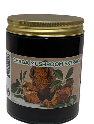 Chaga Mushroom Tea 100g extract , may have Cancer-Fighting Potential