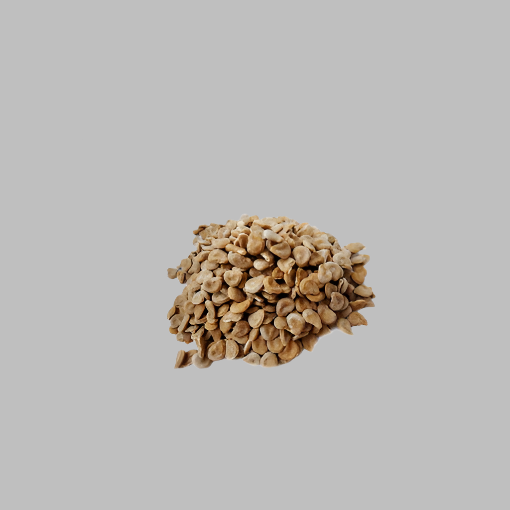dhatura seeds