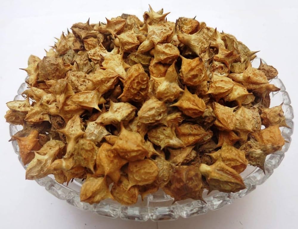 Gokhru Bada (गोखरू बड़ा) – Large Caltrops Seeds | Pedalium murex