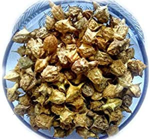 Gokhru Bada – गोखरू बड़ा – Large Caltrops Seeds – Pedalium Murex 50g