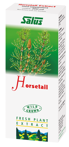 Horsetail Plant Juice Fresh Plant Extract Wild Grown 200ml