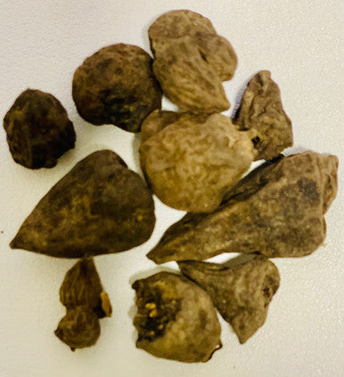 Jadwar, Delphinium denudatum, 50g perennial herb with a wide range of applications in traditional medicine