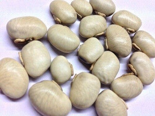 Mucuna pruriens, Kaunch Kavach, benefits for horses for muscle function, mobility, reproductive health, and stress management 200g
