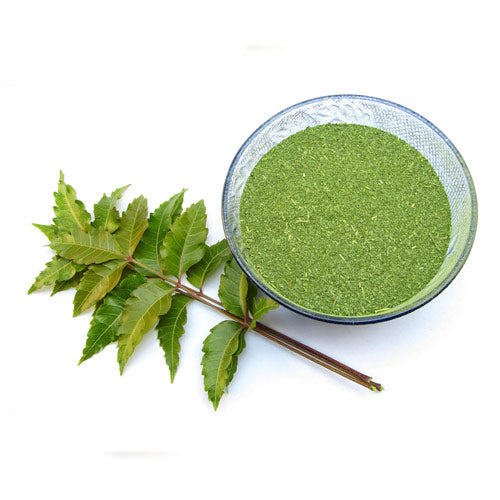 neem leaves powder