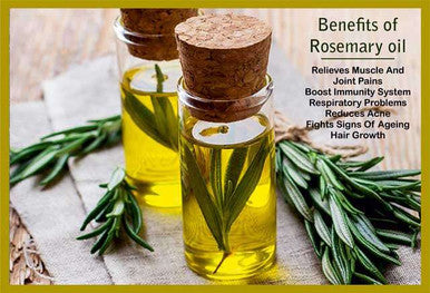 Rosemary Oil for Hair regrowth from Natural Care- 50ml