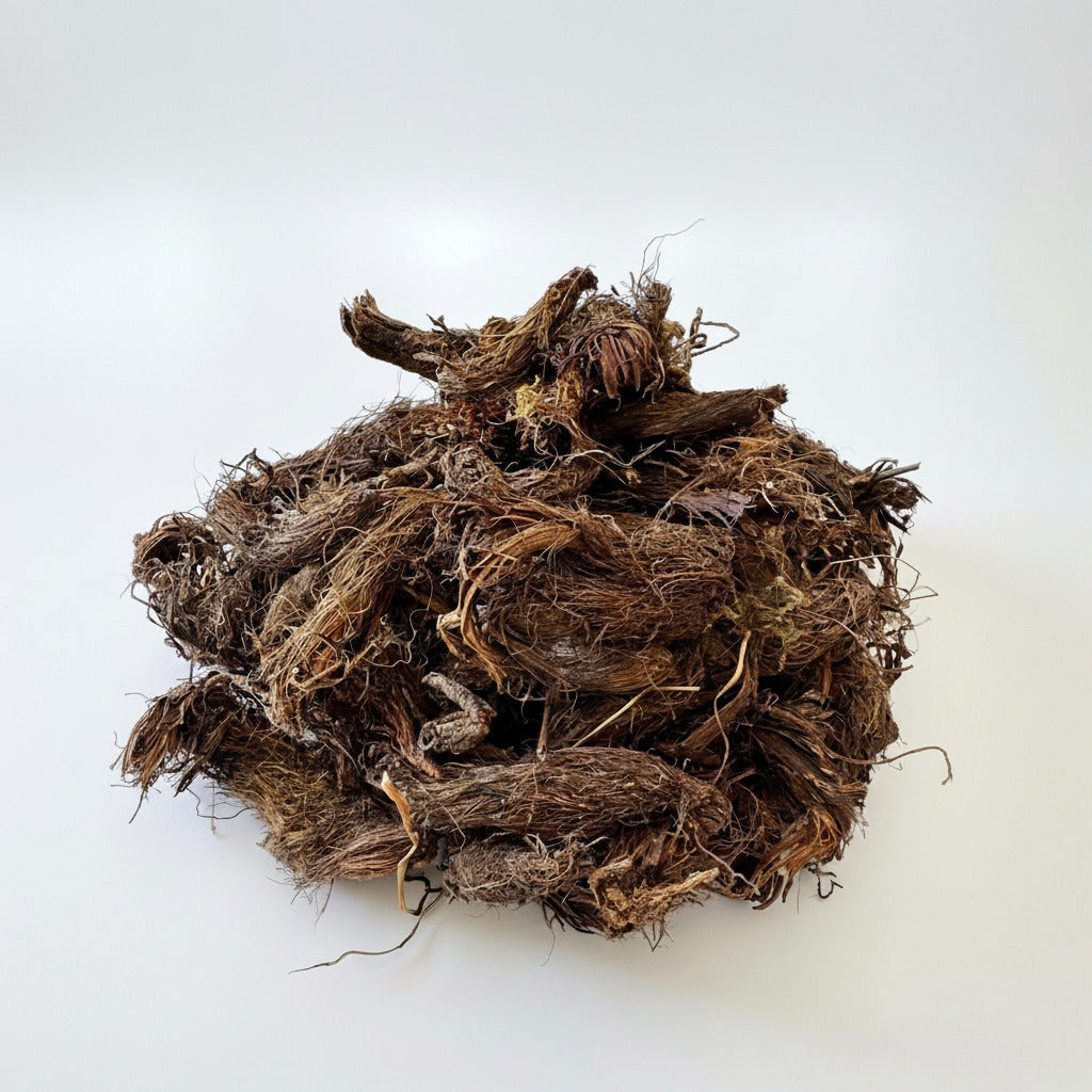 Jatamansi (Spikenard) Whole Herb/ Powder | Nardostachys jatamansi
