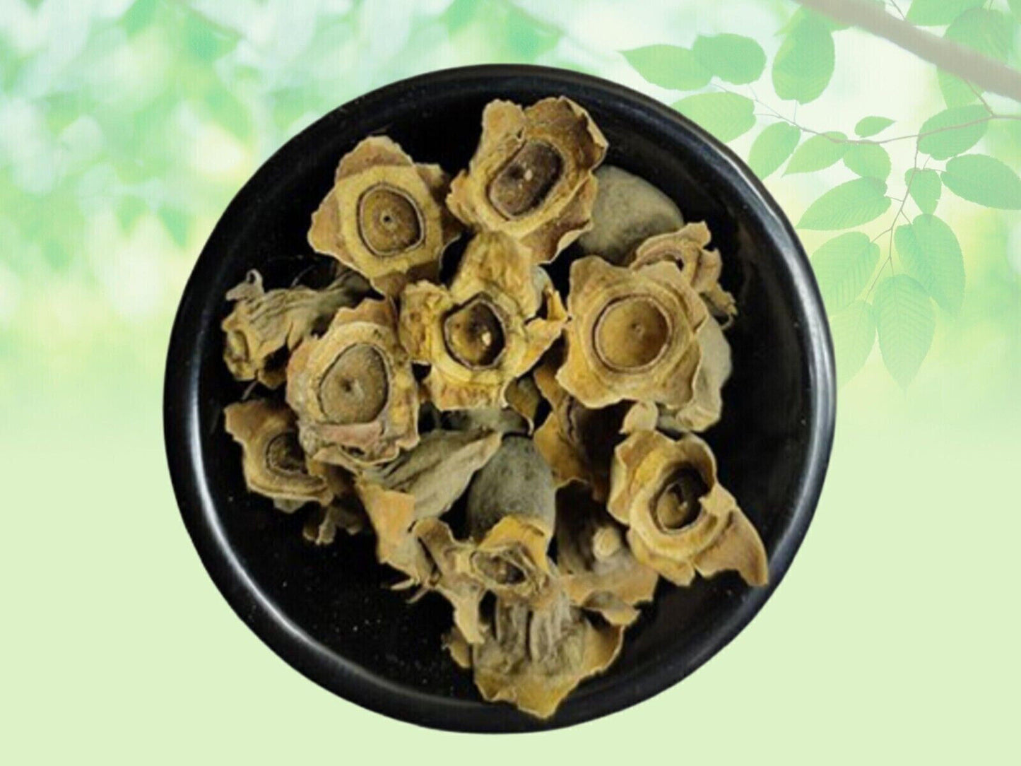 Dried Vakumbha, Bay Khumba-Careya Arborea Kumbhi Baikhumba 50g