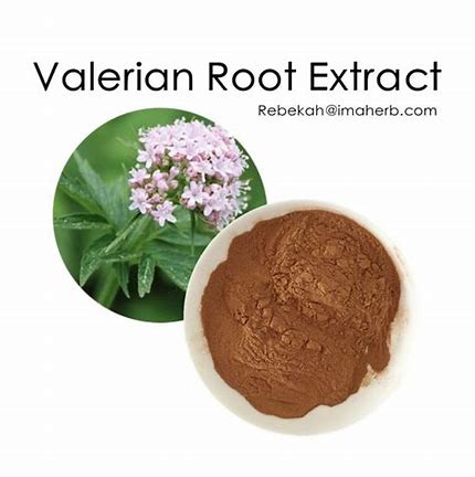 Valerian Extract (Valeriana officinalis)- 50g