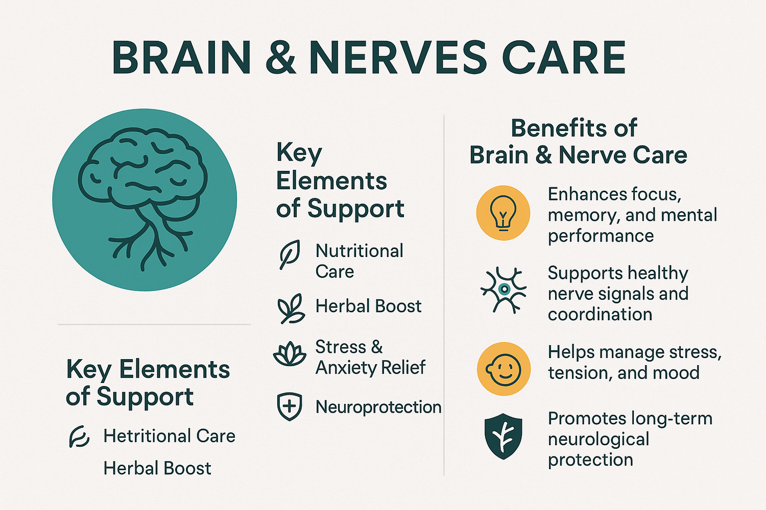Brain & Nerves Care: Supporting Mental Clarity Neurological Health