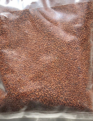 Organic Aariya Asaliya Seeds Aserio Seeds 100g