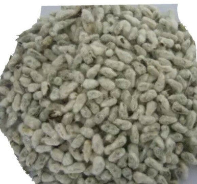 Magaz Benola cotton Seed Herbal organic 50gm