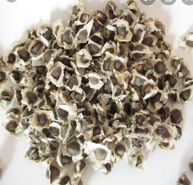 Organic Moringa Seeds100gm