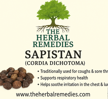 sapistan -  Cordia dichotoma -  50g for Respiratory  & Digestive Health