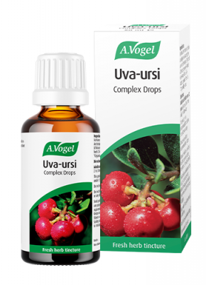 Uva-ursi and Echinacea Containing fresh herb extracts of Uva-ursi (Bearberry) and Echinacea purpurea