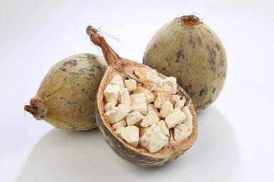 Baobab extract 50g derived from the fruit, seeds, and leaves of the baobab tree (Adansonia)