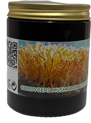 Cordyceps Sinensis mushroom Tea 50g Pure Extract, Increased Energy and Stamina: