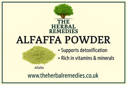 ALFALFA EXTRACT POWDER  Medicago sativa – 100% Pure Herbal Supplement 50g