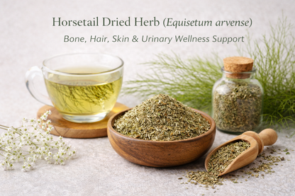 Horsetail Dried Herb (Equisetum arvense) – Bone, Hair, Skin & Urinary Wellness Support 🌿