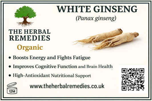 Premium Ginseng Root white  Whole – Natural Panax Ginseng Herbal Root