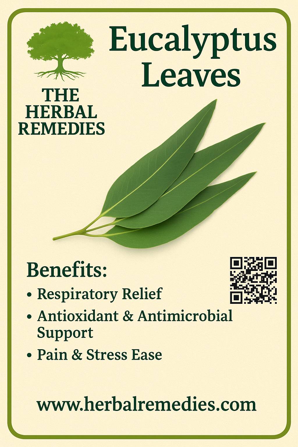Eucalyptus leaves with benefits listed on a beige background