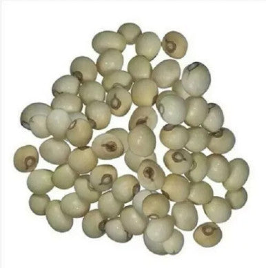 GUNJA SEEDS WHITE CHANOTI CHIRMI ROSARY ABRUS PRECATORIUS WHITE GUMCHI BEAD 50g