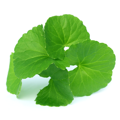 gotu kola extract 50grams powder گوتو کولا, منڈی  بوٹی(Centella asiatica)،  