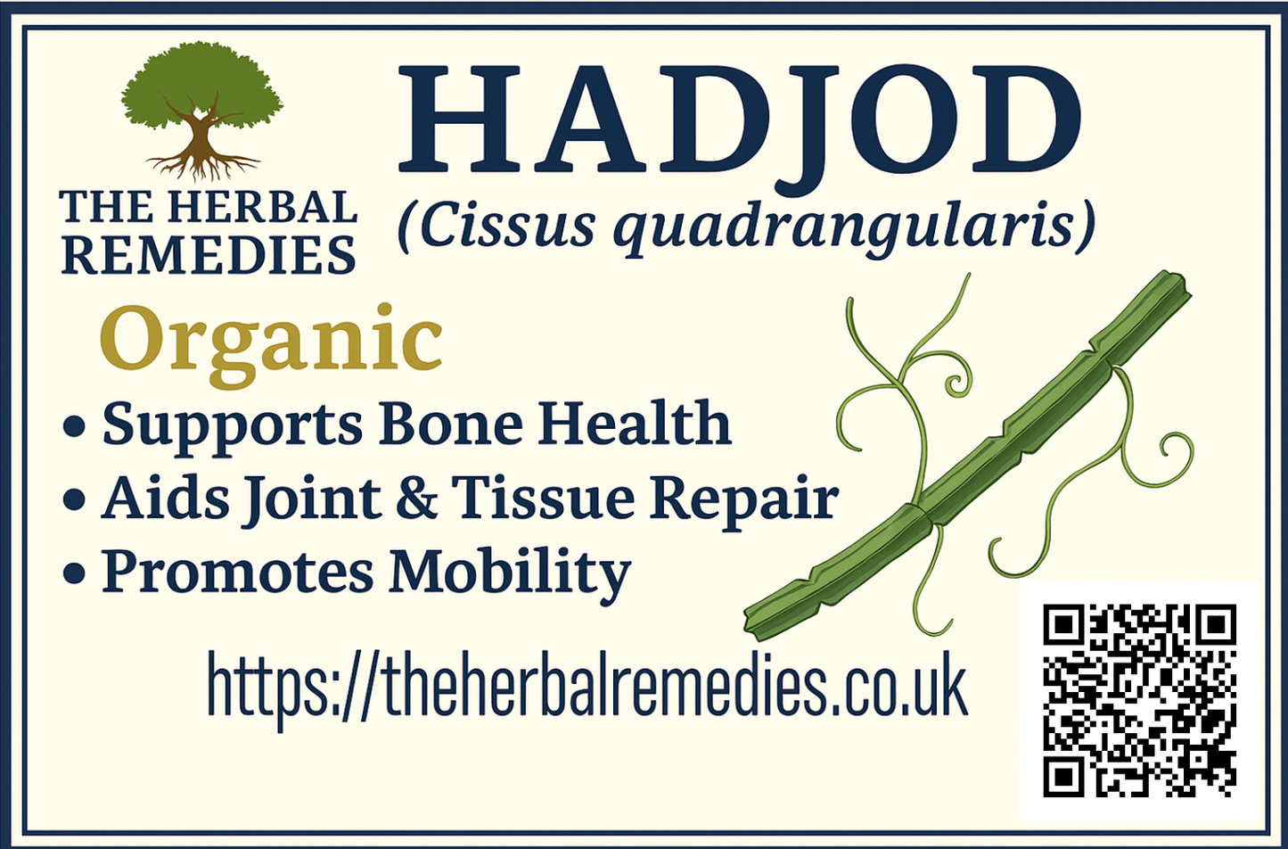 🌿 Hadjod Extract (Cissus quadrangularis)- 50g