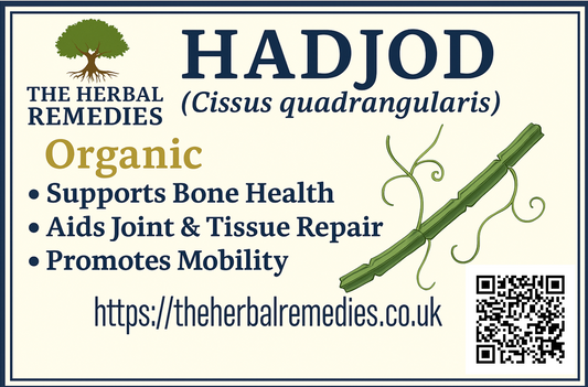 🌿 Hadjod Extract (Cissus quadrangularis)- 50g