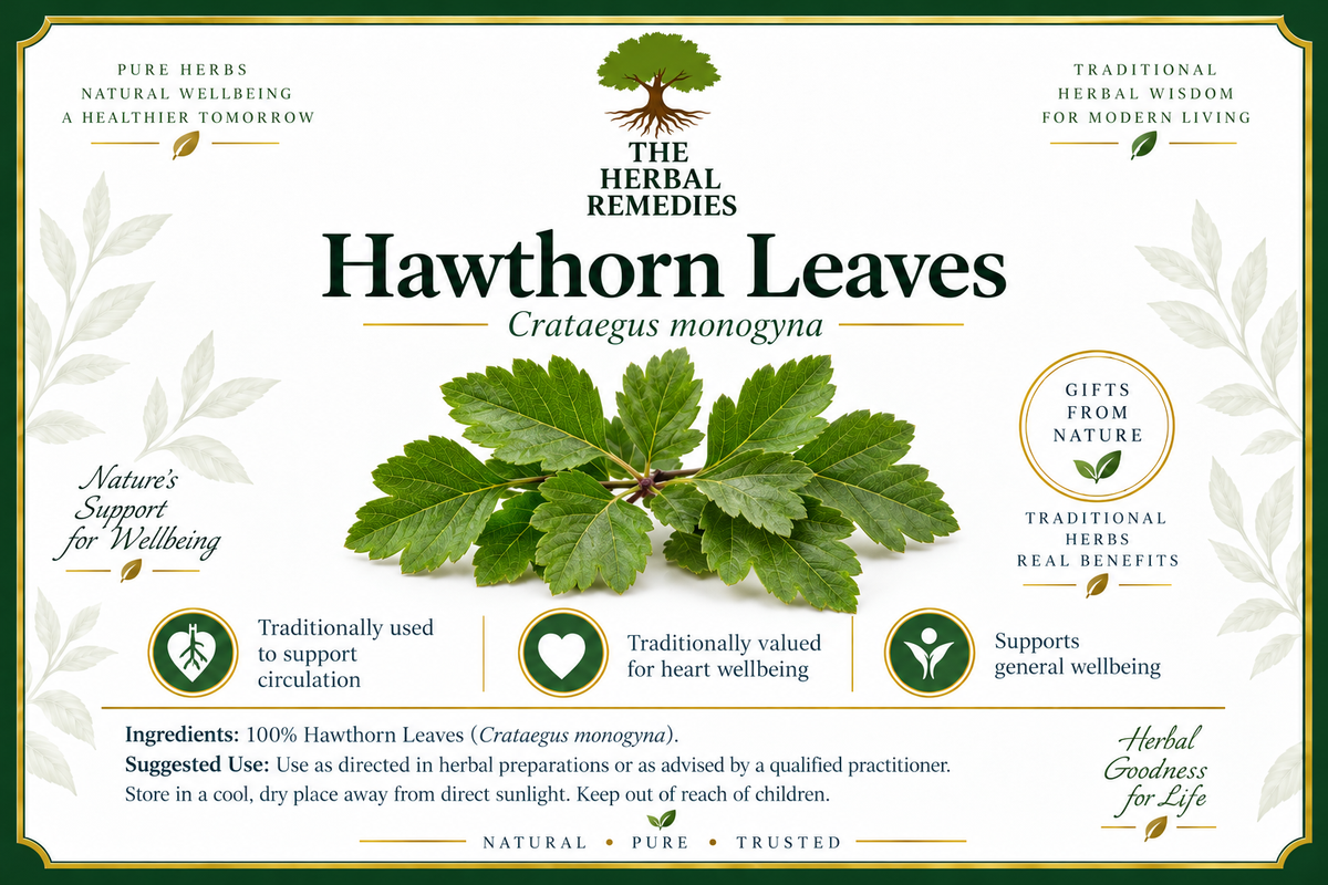 Hawthorn Berries 🌿 (Crataegus monogyna) — Dried Herb