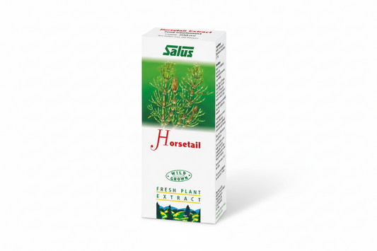 Horsetail Plant Juice Fresh Plant Extract  Wild Grown  200ml