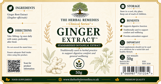 Ginger Extract (Zingiber officinale) - digestive support